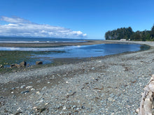 Load image into Gallery viewer, TWC •Crewneck• unisex
