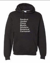 Load image into Gallery viewer, JDF • Hoodie • blk

