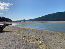 Load image into Gallery viewer, TWC •CAP •CEDAR
