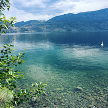 Load image into Gallery viewer, KELOWNA • Tee • UNISEX
